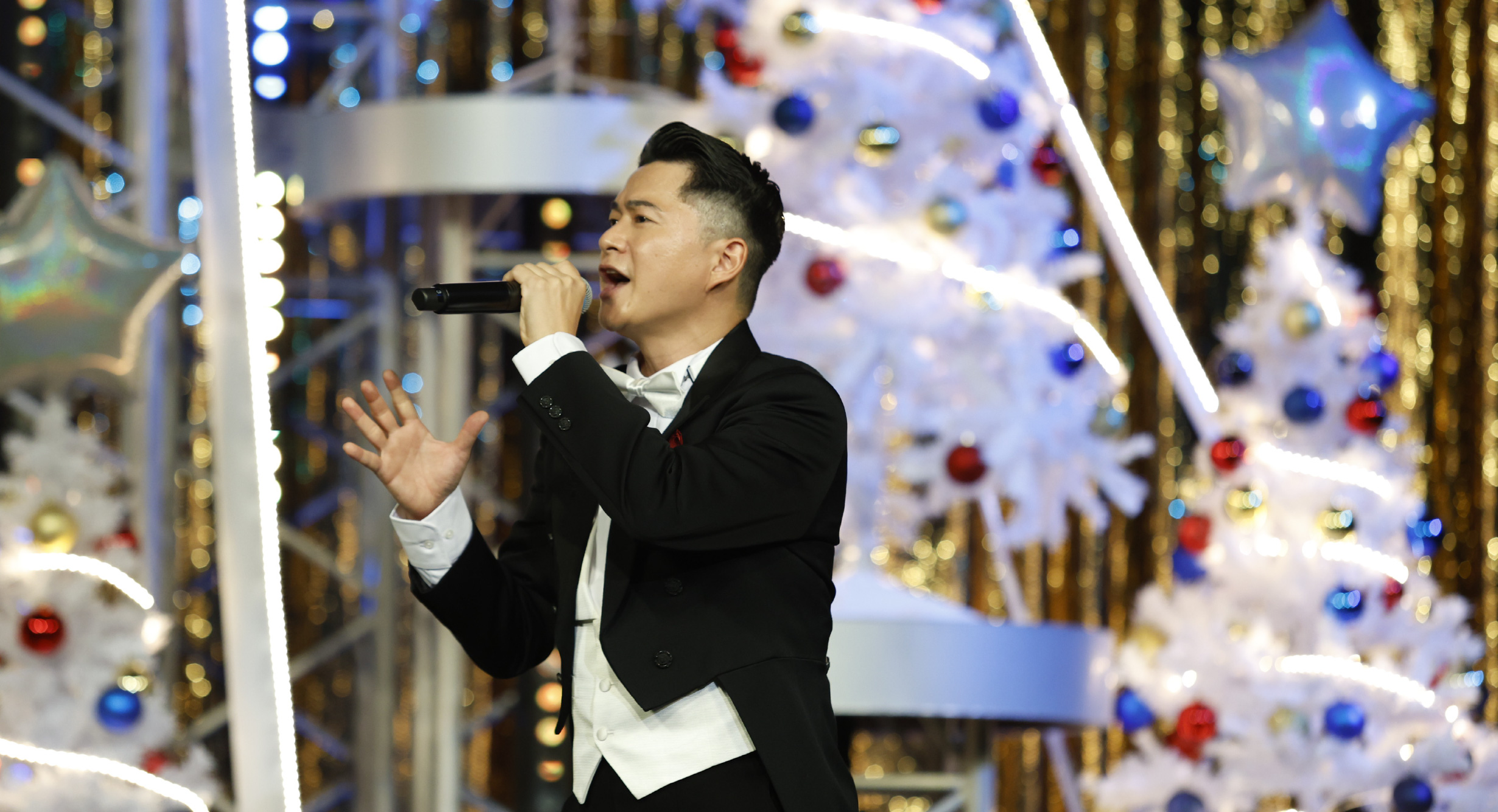 ケーシーハシモト 公演プラン